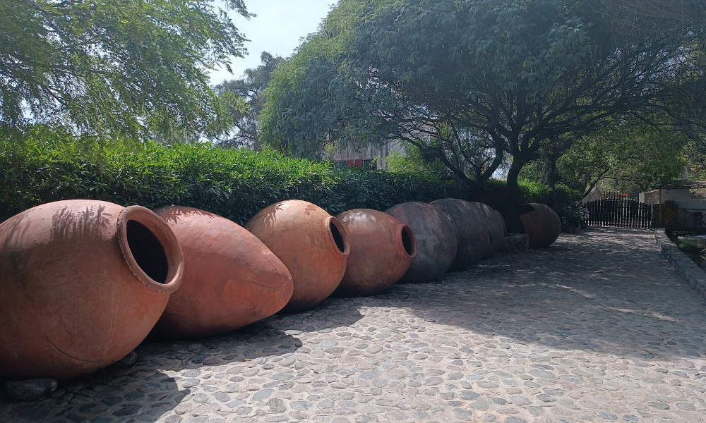 TOUR CAMPIÑA